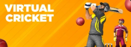 Virtual Cricket